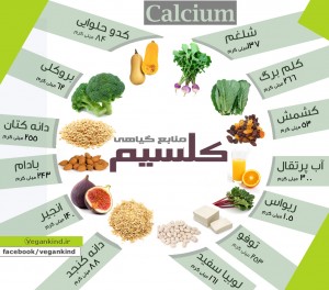 73667226431558372992