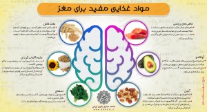 مواد مغزی برای مغز.cdr