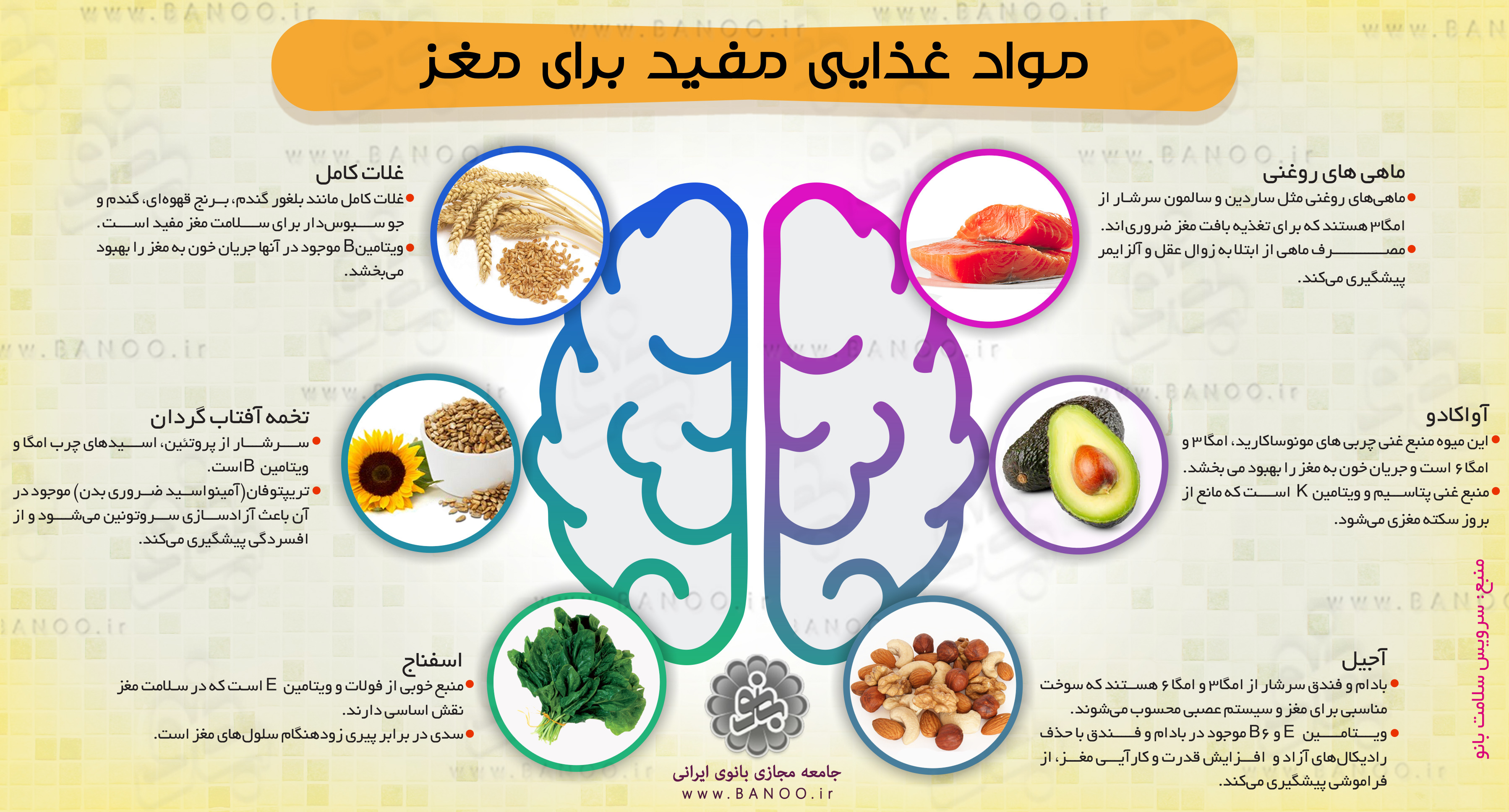 مواد مغزی برای مغز.cdr